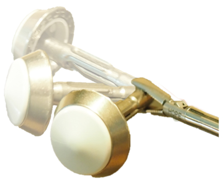 アンビル把持鉗子EAGLEⅡ